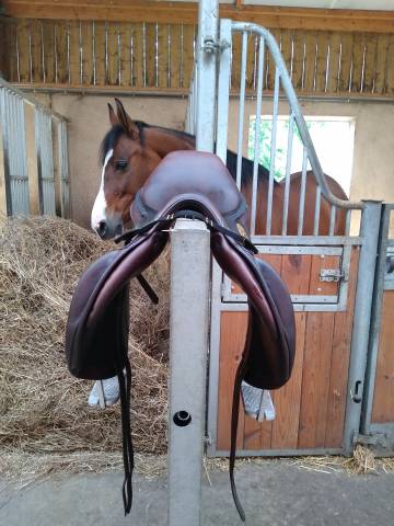 Selle mixte 17'' - monoquartier - Jean Luc Maurel