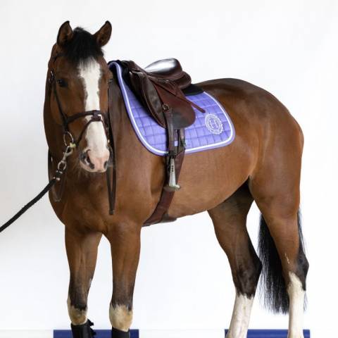 Tapis de selle Harcour Siriel June