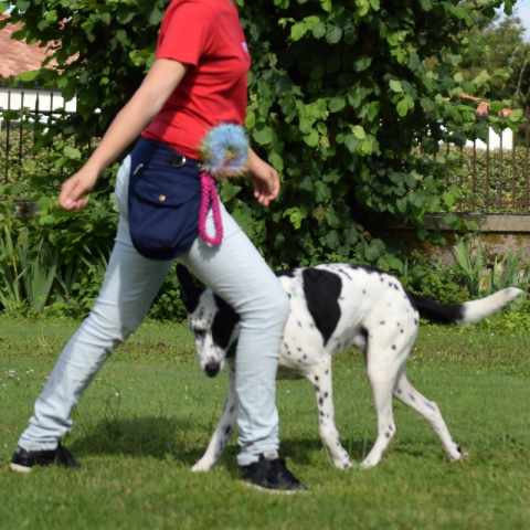 Sac-ceinture Educ+ DOUBLE Education positive Bleu Marine