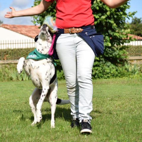 Sac-ceinture Educ+ DOUBLE Education positive Bleu Marine