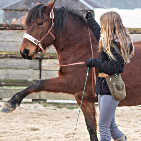 Sac-ceinture Educ + Education Positive Vert Kaki
