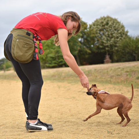 Sac-ceinture Educ + Education Positive Vert Kaki