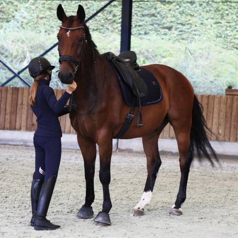Tapis de selle dressage Classico - Equestre