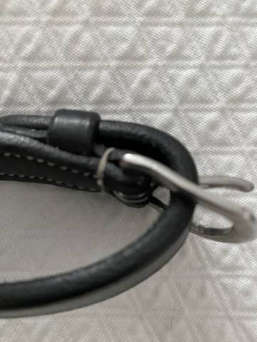 Rênes allemandes Pénélope Leprevost