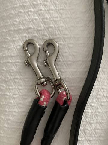 Rênes allemandes Pénélope Leprevost