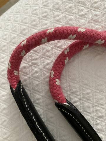 Rênes allemandes Pénélope Leprevost