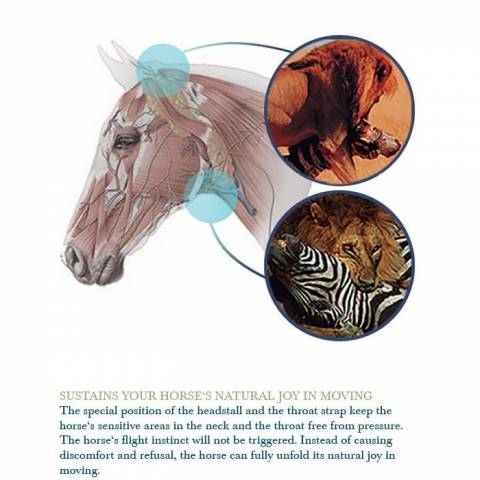 Bridon Freedom Magic Tack Slide & Lock - Stubben