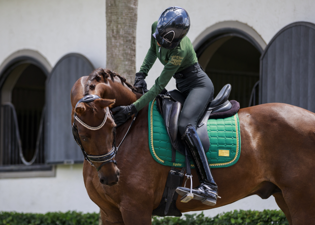 Tapis de selle EQUITO - Prune/Rose Gold Forme tapis Dressage Tailles  article cheval Cheval