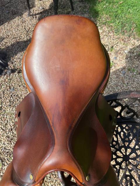 Selle Bruno Delgrange  Année : 2011  Modèle : Athéna