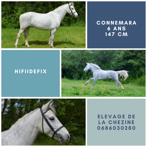 Ponette 6 ans