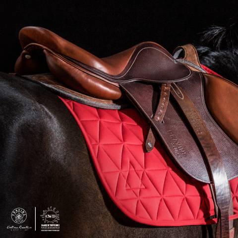 Amortisseur de dos en Feutre – Modèle Performance CSO