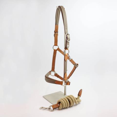 Licol Haut de Gamme en cuir + Longe - Atelier de Pravins