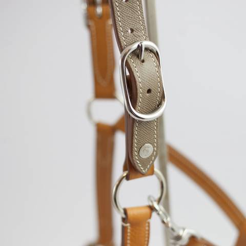 Licol Haut de Gamme en cuir + Longe - Atelier de Pravins