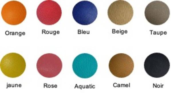 Licol Haut de Gamme en cuir - Atelier de Pravins