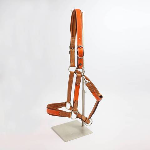 Licol Haut de Gamme en cuir - Atelier de Pravins