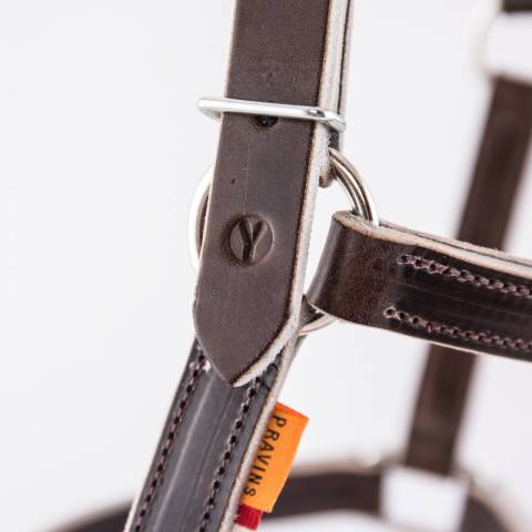 Licol en cuir gamme élevage - Atelier de Pravins