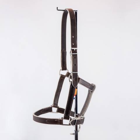 Licol en cuir gamme élevage - Atelier de Pravins