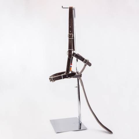 Licol en cuir gamme élevage - Atelier de Pravins