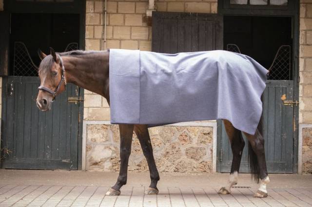 Carré Wooltouch Paddock Sport (2 coloris)