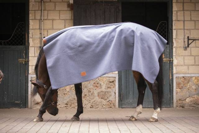 Carré Wooltouch Paddock Sport (2 coloris)