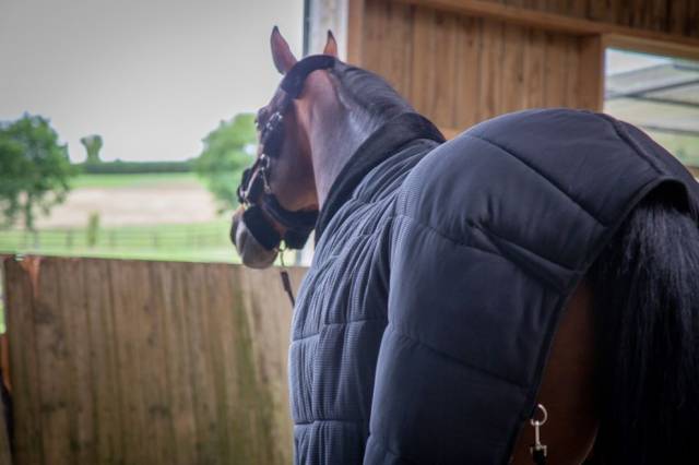 Sous couverture Paddock Sports