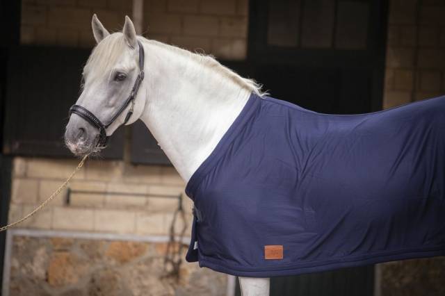 Chemise séchante Paddock Sports avec sangle invisible