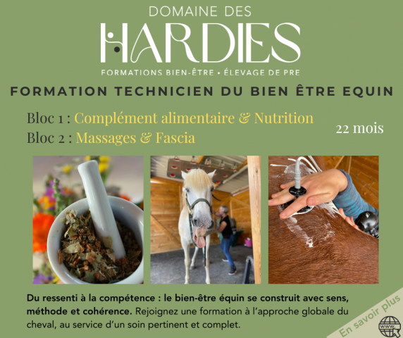 Formation technicien du bien-être équin