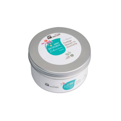 Bactifongic Onguent Bio Echinacée Force 4 Michel Vaillant