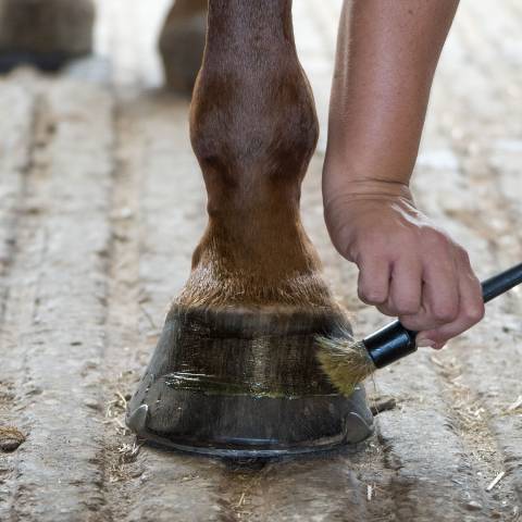 Feetactiv Onguent Bio Prêle Force 4