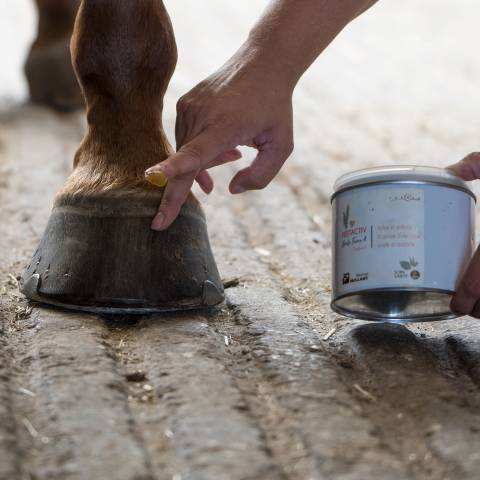 Feetactiv Onguent Bio Prêle Force 4