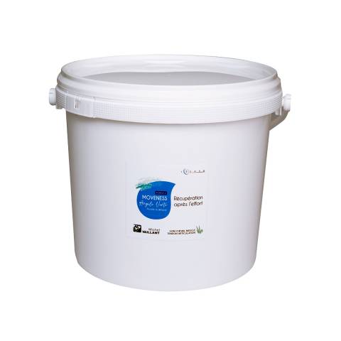 Moveness Argile Verte en poudre Force 2 Michel Vaillant