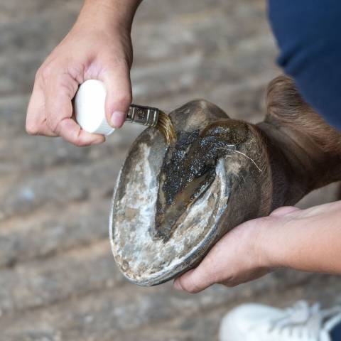 Bactifongic Huile Bio Essentiel Fourchette Force 2 Michel Vaillant