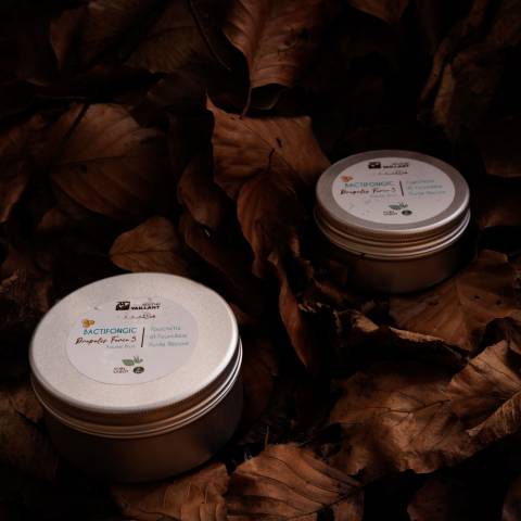 Bactifongic Baume Bio Propolis Fourmilière Force 5 Michel Vaillant