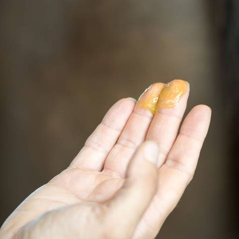 Horskin Baume Bio Plantain DER Démangeaisons Force 4 Michel Vaillant