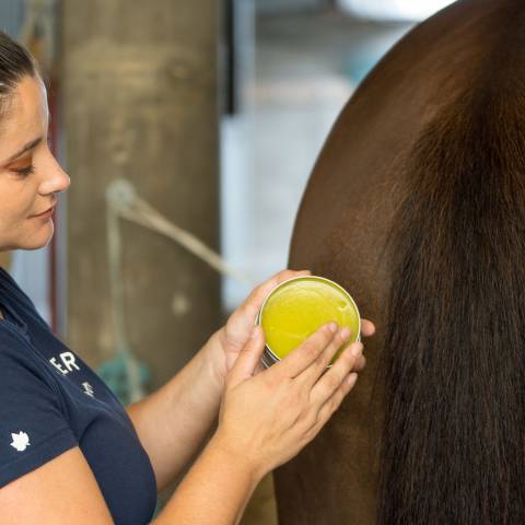 Horskin Baume Bio Plantain DER Démangeaisons Force 4 Michel Vaillant