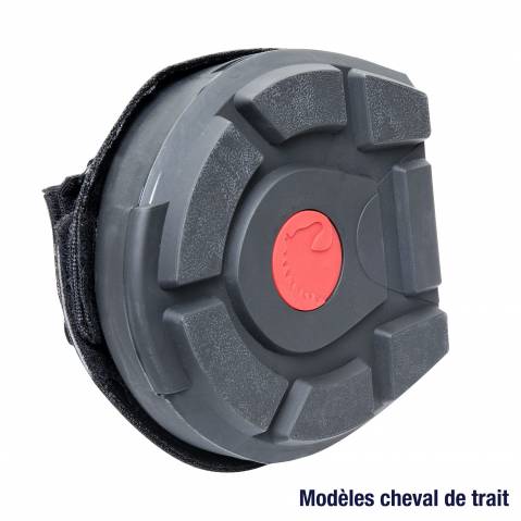 Chausson Cavallo