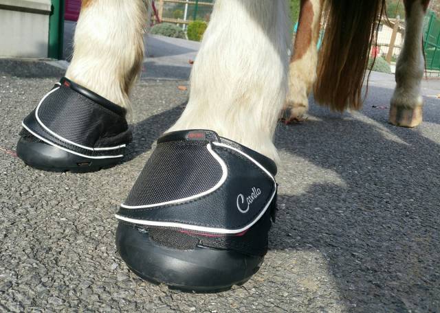 Chausson Cavallo
