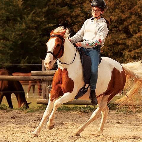 Barefoot RIDE ON physio – SUPPORT