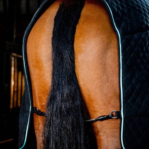 Couverture Autumn Cooler 50 gr - Horseware