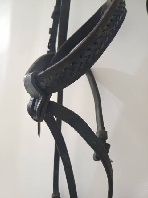filet/bridon cheval noir tressé FS