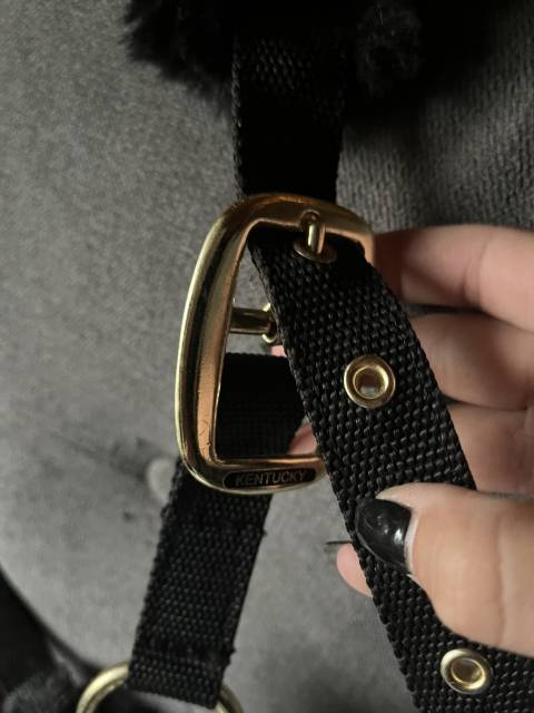 Licol Kentucky noir moutou