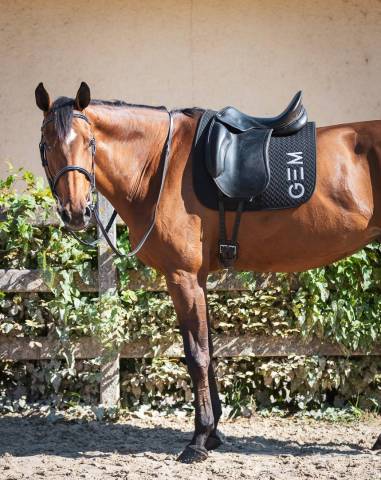 Tapis de selle équitation concours Cheval et Poney - 500 blanc