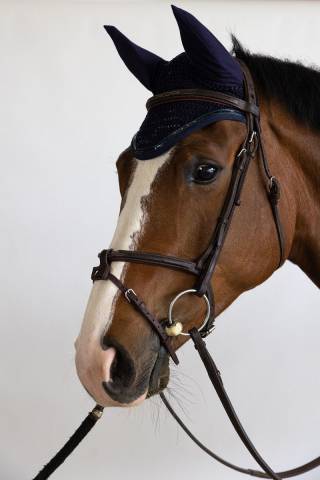 Bonnet cheval Harcour Filou