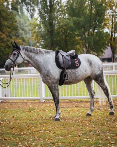 Tapis de selle Ten GEM en CSO ou Dressage