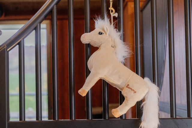 Jouet de boxe Poney Sammy - Kentucky