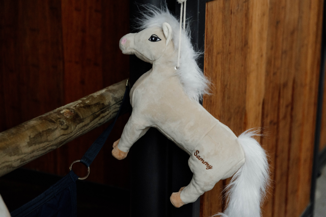 Jouet de boxe Poney Sammy - Kentucky
