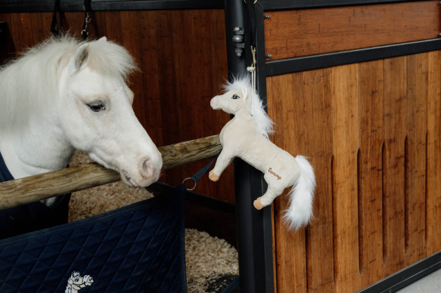 Jouet de boxe Poney Sammy - Kentucky