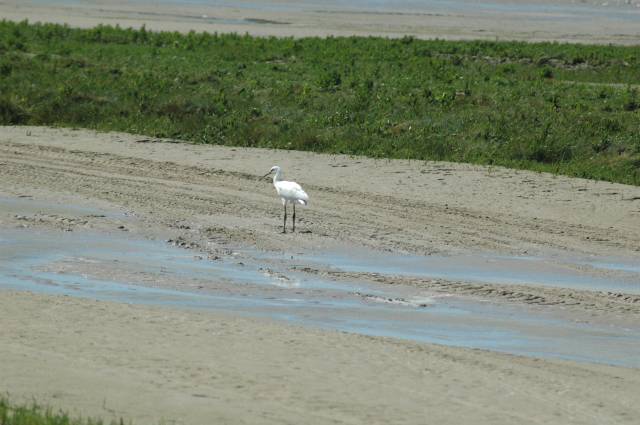 Maison vue sur Baie de Somme