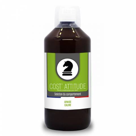 COST' ATTITUDE 1L