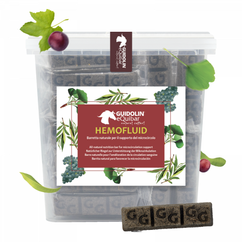 Equibar Hemofluid 2kg - Guidolin